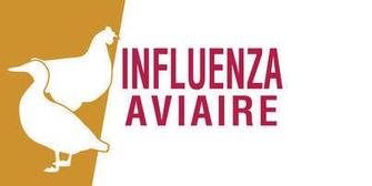 Influenza Aviaire : Zone de contrôle temporaire